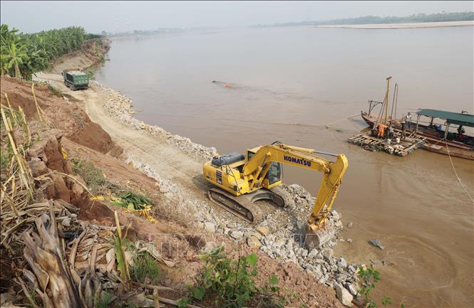 Đoạn sạt lở nghiêm trọng có chiều dài gần 300m tại xã Tam Nông, tỉnh Phú Thọ. Ảnh: Tạ Toàn – TTXVN