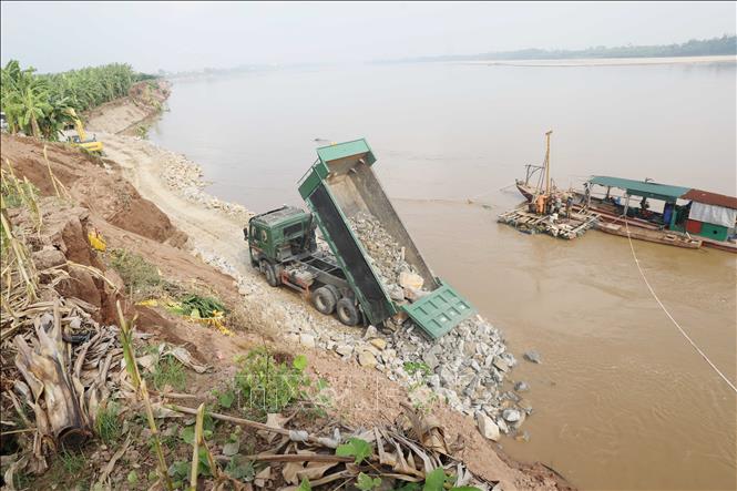 Công trình khắc phục sạt lở bờ, vở sông Thao ở Tam Nông có tổng kinh phí dự kiến khoảng 7,5 tỷ đồng. Ảnh: Tạ Toàn – TTXVN