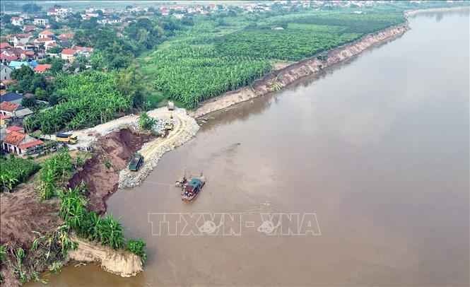 Cái đơn vị thi công khẩn trương kè bờ, vở sông Thao tại xã Tam Nông, tỉnh Phú Thọ. Ảnh: Tạ Toàn – TTXVN
