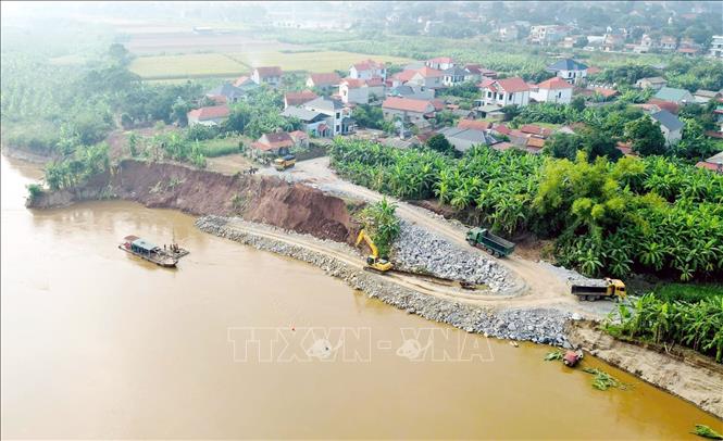 Phương án xử lý là kè hộ chân bằng đá hộc thả rời tạo cơ phản áp chống sạt lở, tổng chiều dài xử lý khoảng 200 m. Ảnh: Tạ Toàn – TTXVN