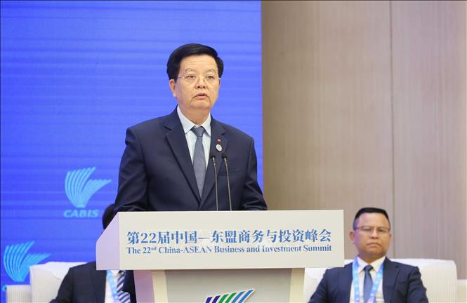 Phó Thủ tướng Chính phủ Mai Văn Chính phát biểu tại Hội nghị. Ảnh: Công Tuyên-PV TTXVN tại Trung Quốc