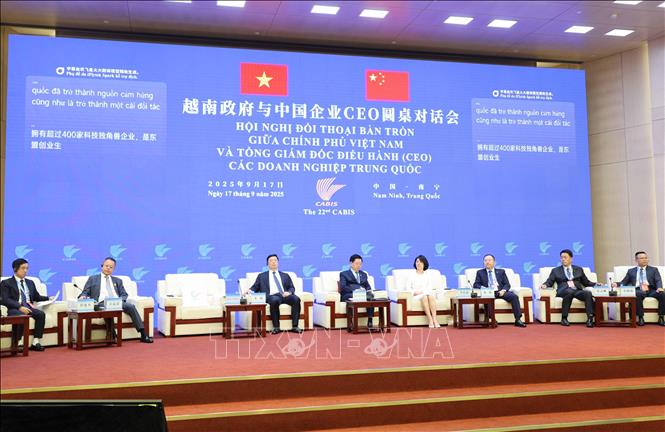 Phó Thủ tướng Chính phủ Mai Văn Chính tham dự Hội nghị đối thoại bàn tròn giữa Chính phủ Việt Nam với CEO các doanh nghiệp Trung Quốc. Ảnh: Công Tuyên-PV TTXVN tại Trung Quốc