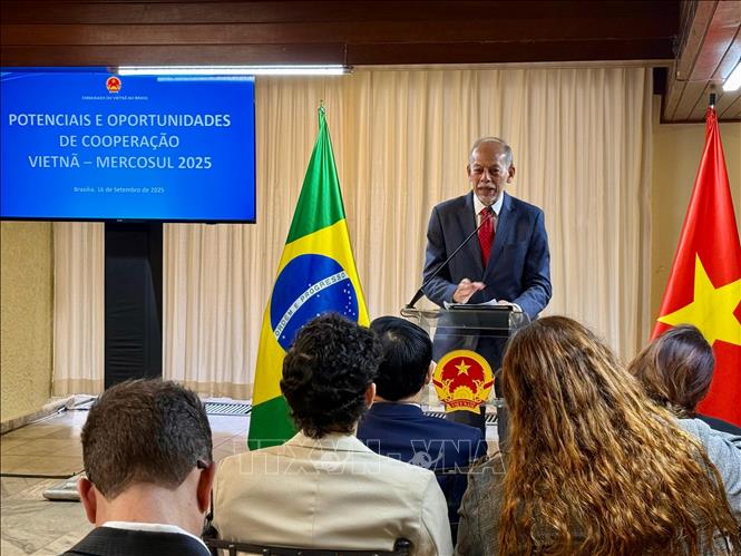 Thứ trưởng Bộ Khoa học, Công nghệ và Đổi mới sáng tạo Brazil Inácio Arruda phát biểu tại Hội thảo. Ảnh: TTXVN phát