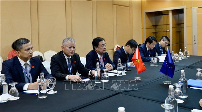 The Vietnamese delegation at the meeting. VNA/Photo by courtesy