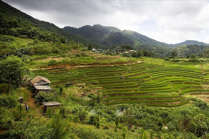 Vẻ đẹp của ruộng bậc thang tại xóm Mừng, xã Cao Phong (Phú Thọ). Ảnh: Trọng Đạt - TTXVN