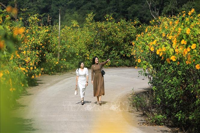 Du khách tham quan “thiên đường hoa” tại xóm Mừng. Ảnh: Trọng Đạt - TTXVN