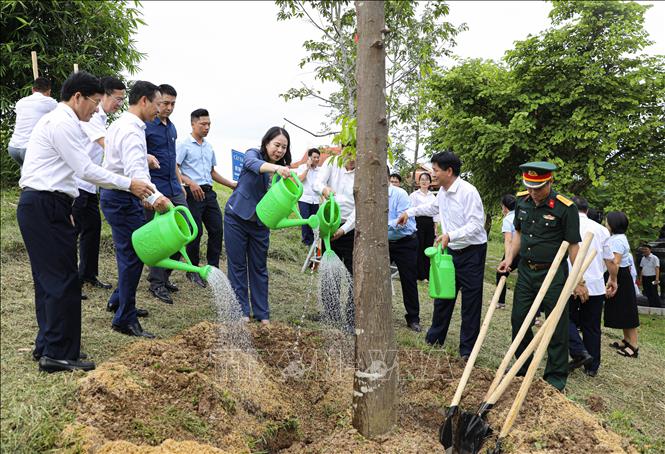 Phó Chủ tịch nước Võ Thị Ánh Xuân, trồng cây lưu niệm tại Đền thờ liệt sỹ chiến trường Điện Biên Phủ. Ảnh: Phan Quân - TTXVN
