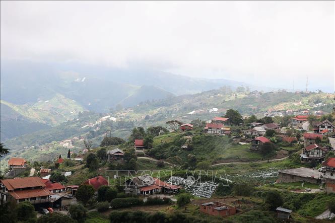 Toàn cảnh Colonia Tovar nhìn từ trên cao. Thị trấn nhỏ nổi bật giữa núi rừng xanh thẳm với những mái ngói đỏ đặc trưng. Ảnh: Phi Hùng - PV TTXVN tại Mỹ Latinh
