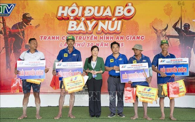 Ban Tổ chức trao giải khuyến khích cho chủ các đôi bò có thành tích tốt. Ảnh: Công Mạo-TTXVN