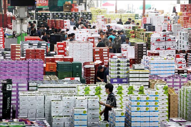 Hoa quả được bày bán trước dịp lễ Chuseok tại một khu chợ ở Gwangju, Hàn Quốc. Ảnh: Yonhap/TTXVN