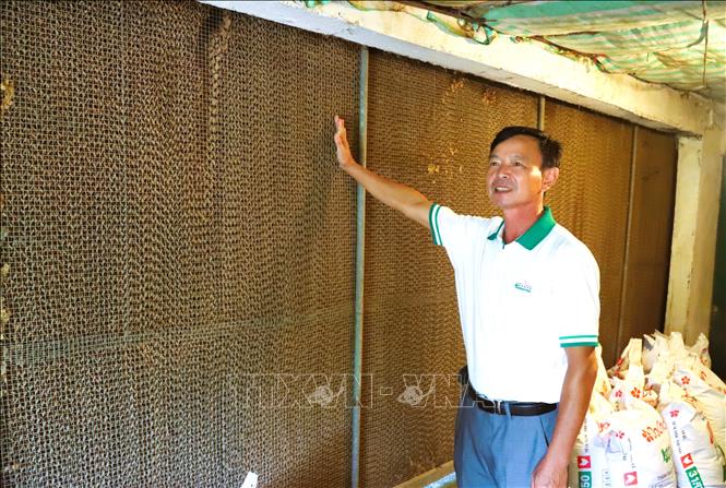 Hệ thống giàn điều hòa trong khu nuôi chu trình khép kín tại trang trại gà Lương Sơn của ông Trần Xuân Sơn. Ảnh: Xuân Tiến - TTXVN 