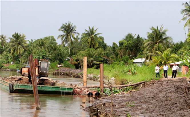 Gia cố đoạn sạt lở Đê bao sông Măng Thít qua xã Tân Long Hội, tỉnh Vĩnh Long. Ảnh: Lê Thúy Hằng – TTXVN
