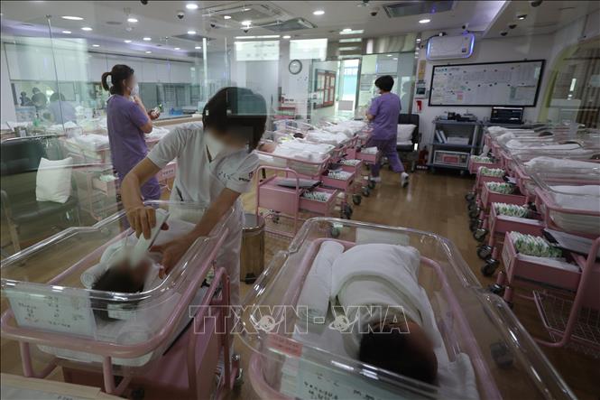 Nhân viên điều dưỡng chăm sóc các em bé sơ sinh tại trung tâm chăm sóc sau sinh ở Seoul, Hàn Quốc. Ảnh: Yonhap/TTXVN
