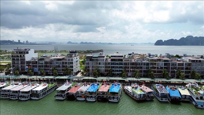 Tàu du lịch tránh trú bão tại âu cảng tàu khách quốc tế Tuần Châu, phường Tuần Châu, tỉnh Quảng Ninh. Ảnh: Đức Hiếu - TTXVN