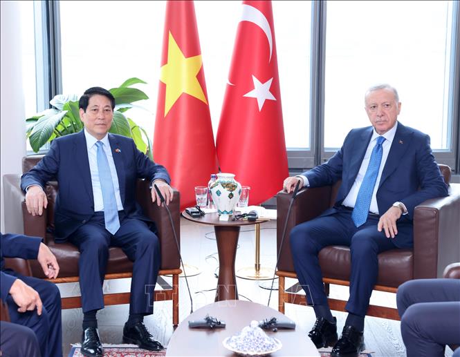 Chủ tịch nước Lương Cường gặp Tổng thống Thổ Nhĩ Kỳ Recep Tayyip Erdogan. Ảnh: Lâm Khánh – TTXVN 