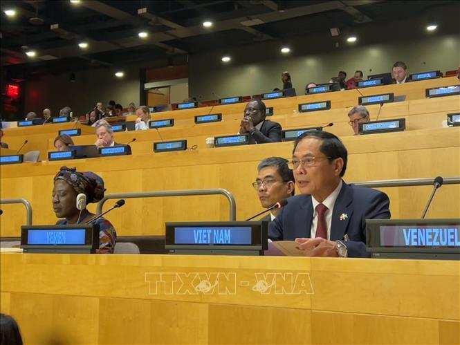 Deputy Prime Minister Bui Thanh Son addresses the Summit. VNA Photo: Thanh Tuấn 