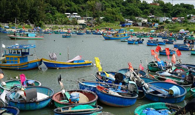 Toàn phường Tiến Thành (tỉnh Lâm Đồng) hiện có có gần 500 hộ làm nghề thuyền thúng. Ảnh: Hồng Hiếu - TTXVN
