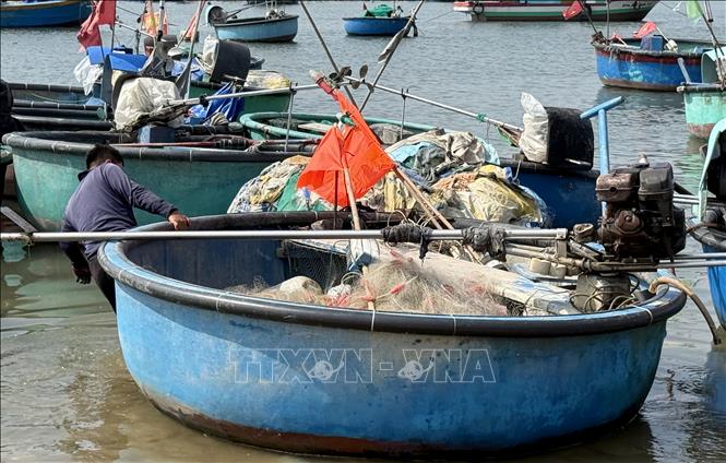 Chiếc thuyền thúng được xem là phương tiện gắn bó mật thiết với ngư dân. Ảnh: Hồng Hiếu - TTXVN