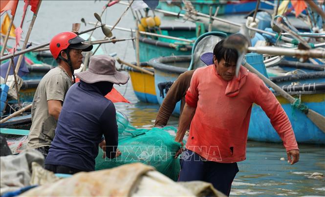 Ngư dân cùng nhau kéo lưới cụ vào bờ sau mỗi chuyến biển. Ảnh: Hồng Hiếu - TTXVN