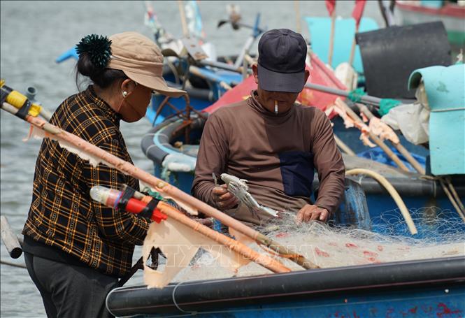 Ngư dân gỡ lưới, thu hoạch sau mỗi chuyến biển. Ảnh: Hồng Hiếu - TTXVN