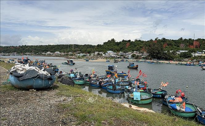 Nơi neo đậu thuyền thúng ở làng chài phường Tiến Thành, tỉnh Lâm Đồng. Ảnh: Hồng Hiếu - TTXVN