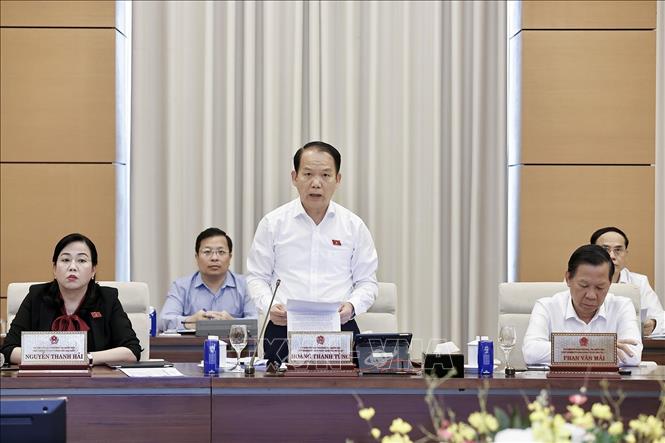 Chủ nhiệm Ủy ban Pháp luật và Tư pháp của Quốc hội Hoàng Thanh Tùng phát biểu. Ảnh: Doãn Tấn - TTXVN