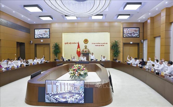 Ủy ban Thường vụ Quốc hội biểu quyết. Ảnh: Doãn Tấn - TTXVN