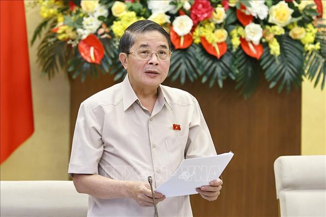 Phó Chủ tịch Quốc hội Nguyễn Đức Hải phát biểu. Ảnh: Doãn Tấn - TTXVN