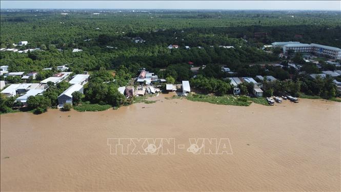 Khu vực sạt lở bờ sông Tiền tại khóm Tân Tịch, phường Cao Lãnh. Ảnh: Nhựt An - TTXVN