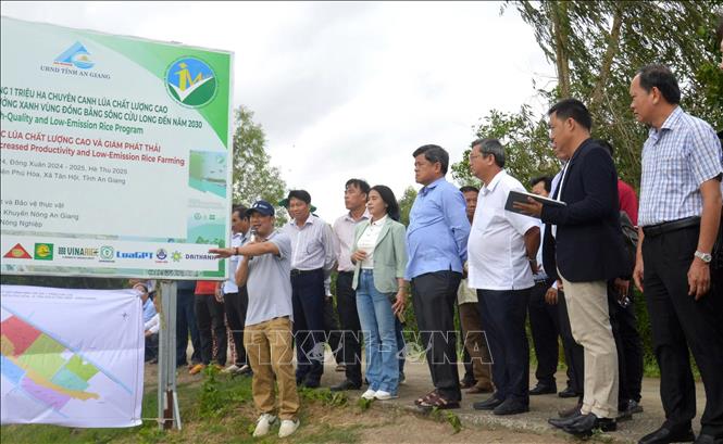 Thứ trưởng Bộ NN&MT Trần Thanh Nam cùng các đại biểu tại buổi tham quan, đánh giá hiệu quả công nghệ tưới ướt khô xen kẽ (AWD). Ảnh: Văn Sĩ - TTXVN