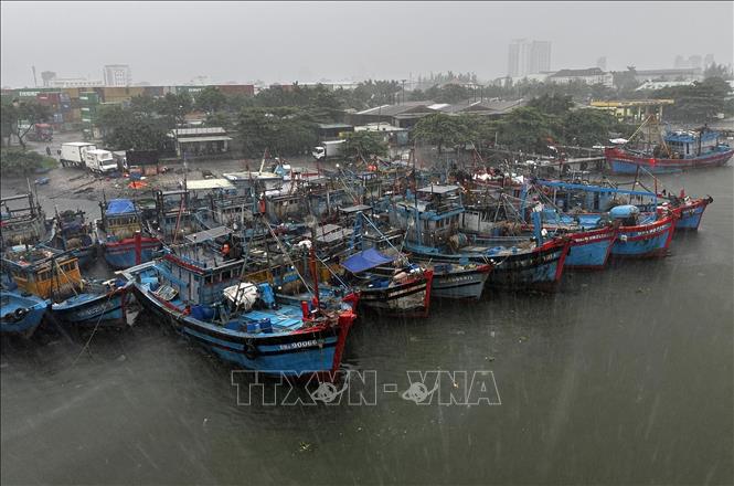 Mưa lớn tại khu vực Âu thuyền Thọ Quang do ảnh hưởng bão số 10. Ảnh: Trần Lê Lâm - TTXVN