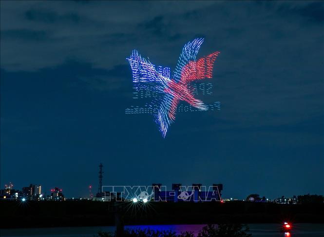 Những màn trình diễn máy bay không người lái theo chủ đề 