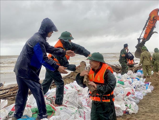 Lực lượng vũ trang vận chuyển cọc gỗ để gia cố tuyến đê Hội Thống (xã Đan Hải). Ảnh: Hữu Quyết - TTXVN