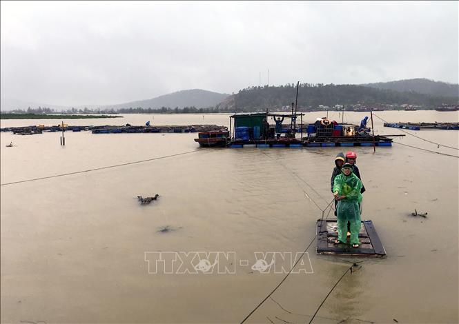 Người dân trên các bè cá ở phường Cửa Lò được di dời đến nơi an toàn. Ảnh: Văn Tý-TTXVN