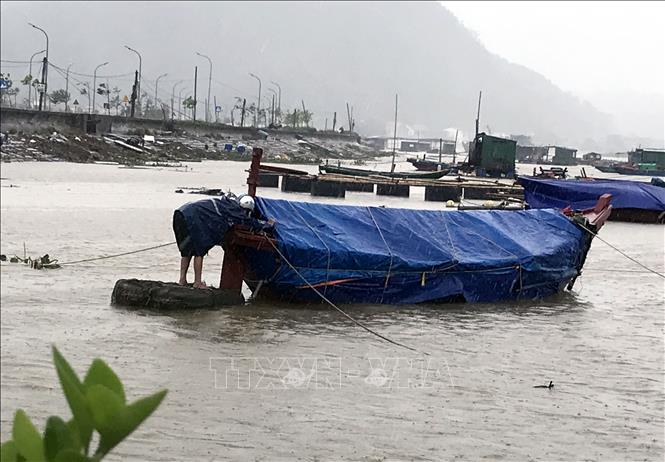 Người dân phường Cửa Lò (Nghệ An) chằng chống thuyền bè ứng phó bão số 10. Ảnh: Văn Tý-TTXVN