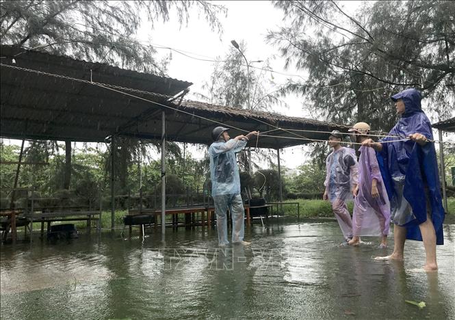 Người dân phường Cửa Lò (Nghệ An) chằng chống hàng quán, ứng phó bão số 10. Ảnh: Văn Tý-TTXVN