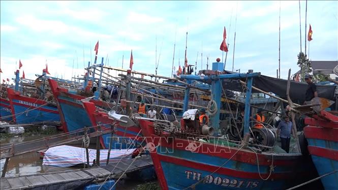 Tàu thuyền trển địa bàn tỉnh về nơi tránh bão an toàn. Ảnh: Nguyễn Nam-TTXVN