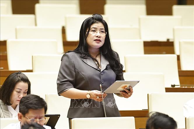 Đại biểu Quốc hội tỉnh Khánh Hòa Đàng Thị Mỹ Hương phát biểu. Ảnh: Doãn Tấn - TTXVN