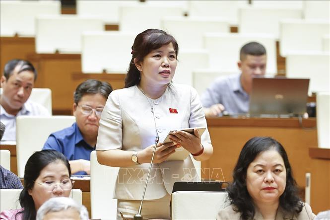 Đại biểu Quốc hội tỉnh Quảng Ninh Nguyễn Thị Thu Hà phát biểu. Ảnh: Doãn Tấn - TTXVN