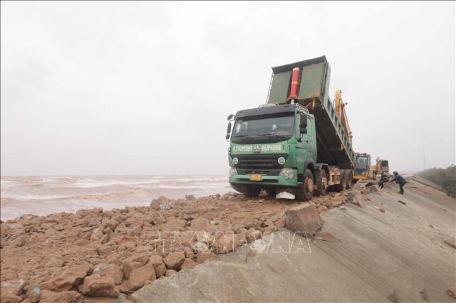 Lực lượng chức năng cùng người dân vẫn đang khẩn trương gia cố đoạn đê biển Hải Thịnh 3 bị sạt lở do ảnh hưởng bão số 10. Ảnh: Phan Phương - TTXVN