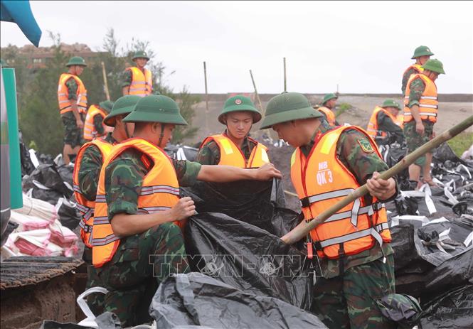 Lực lượng chức năng khẩn trương gia cố đoạn đê biển Hải Thịnh 3 bị sạt lở do ảnh hưởng bão số 10. Ảnh: Phan Phương - TTXVN