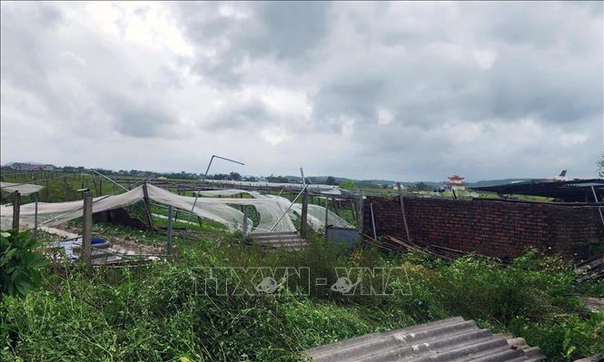 Nhiều cơ sở sản xuất tại xã Đầm Hà (Quảng Ninh) bị thiệt hại nặng nề do giông lốc xoáy. Ảnh: TTXVN phát