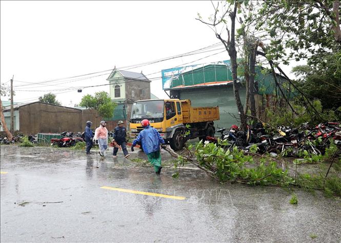 Trên tuyến quốc lộ 46 qua phường Vinh Lộc, Vinh Phú có hàng trăm cây xanh bị gãy đổ. Ảnh: Văn Tý-TTXVN