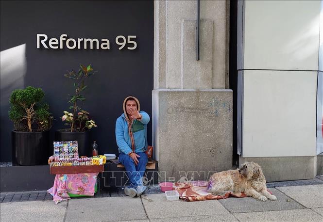 Một người đàn ông bán thuốc lẻ tại đại lộ Reforma, trung tâm thủ đô Mexico City, Mexico. Ảnh: Phi Hùng - PV TTXVN tại Mexico