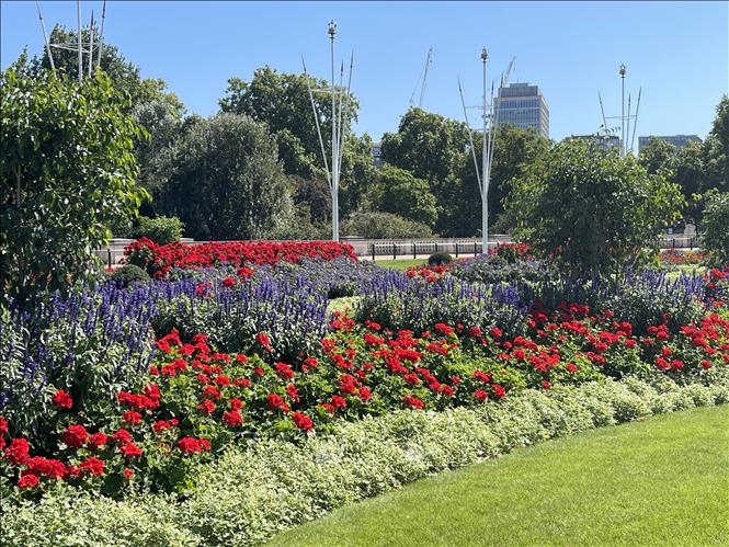 Vườn hoa tại khu vực Cung điện Buckingham được chăm sóc quanh năm. Ảnh: Minh Hợp-phóng viên TTXVN tại Anh