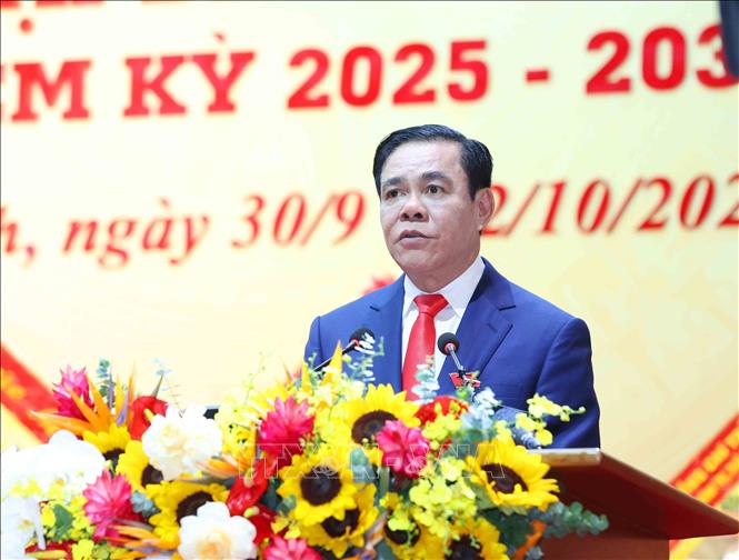 Đồng chí Võ Trọng Hải, Phó Bí thư Tỉnh uỷ, Chủ tịch Uỷ ban nhân dân tỉnh Hà Tĩnh phát biểu tại Đại hội. Ảnh: Phương Hoa - TTXVN