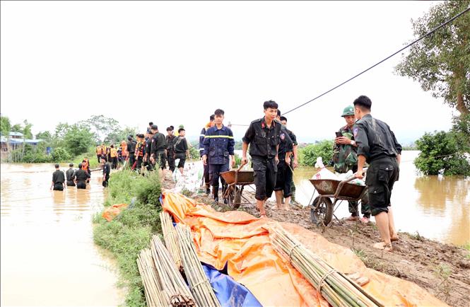 Khẩn trương khắc phục sự cố vỡ đê bối sông Cầu. Ảnh: Trần Trang-TTXVN 