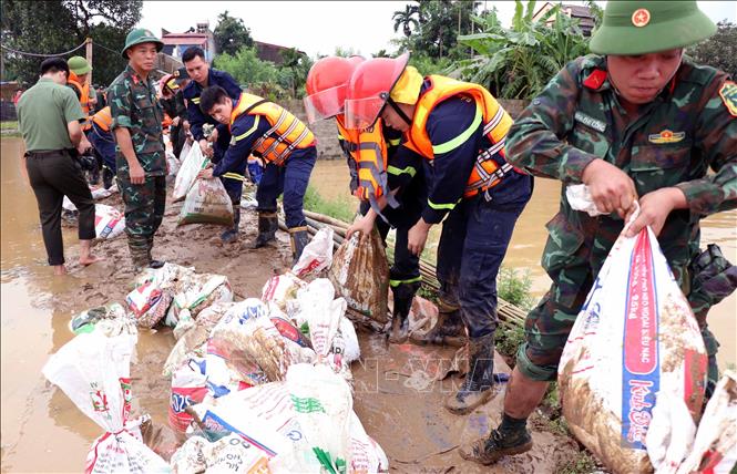 Các lực lượng Công an, Quân đội khẩn trương gia cố đê bối sông Cầu. Ảnh: Trần Trang-TTXVN 