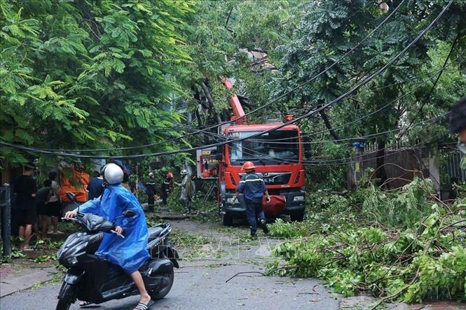 Lực lượng Cảnh sát phòng cháy chữa cháy và cứu nạn cứu hộ tiến hành cắt tỉa cây bị đổ tại phố Tạ Quang Bửu, quận Hai Bà Trưng, sau khi bão số 3 đổ bộ đi thẳng vào Hà Nội (2024). Ảnh: Hoàng Hiếu – TTXVN