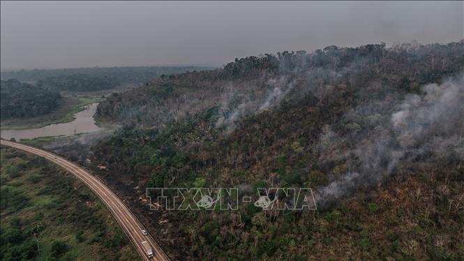 Khói bốc lên từ đám cháy rừng Amazon ở bang Rondonia, Brazil. Ảnh: THX/TTXVN